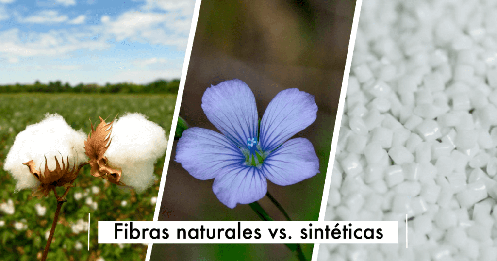 fibras